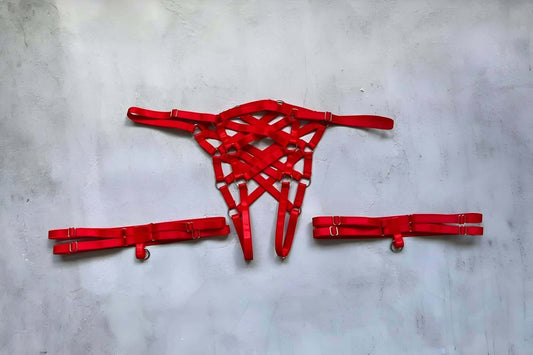 Fantasy Panties and Leg Band Set with Open Crotch Elastic Harness