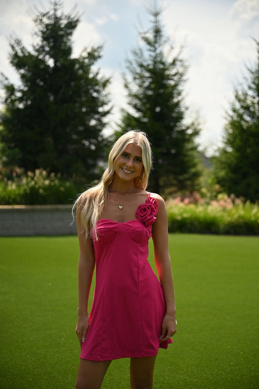 Tickled Pink Dress