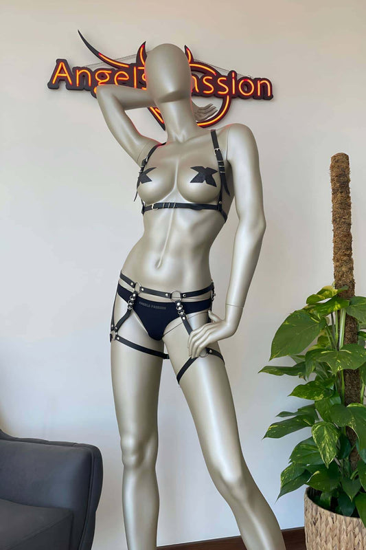 Short Leg Harness and Vest Harness