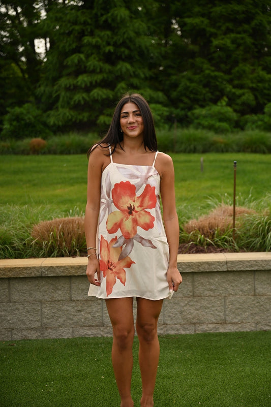 Summer Lover Dress